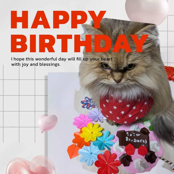 B799ae72 18df 4c82 b973 2f1c29fde459 1702711461186