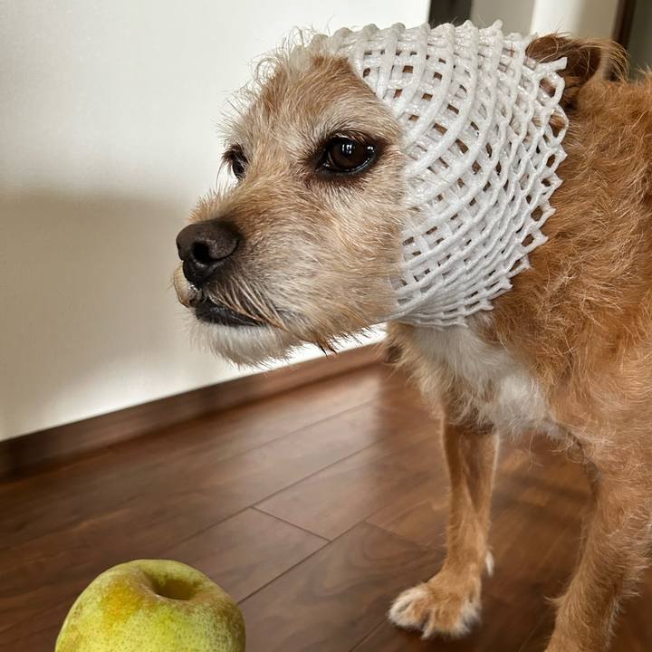 B799b64c a0b8 48cc b0c5 15ec2242a061 1726448480332