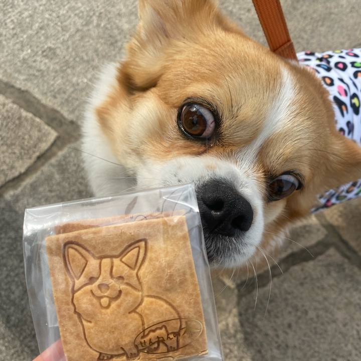 B799f1c8 0bc3 4651 9fb5 9e1ae3a40e96 1716717763338