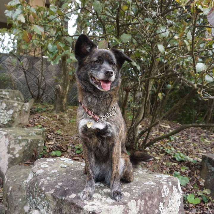 B799f88a 9bfa 4174 bf5f d58d3a8a0afb 1524488658959