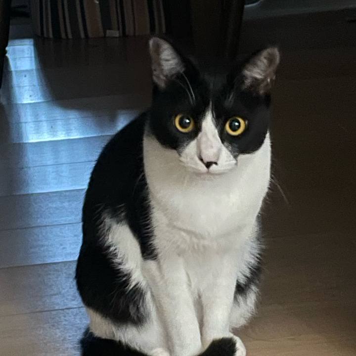 B79a0791 8c84 482f 82f5 cd8d272e7d26 1696803836255