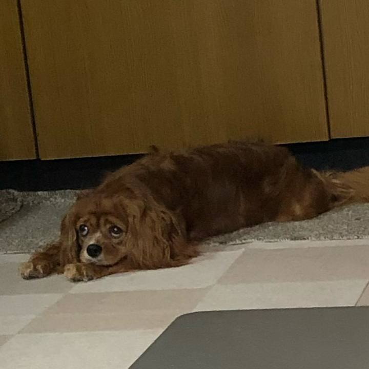 B79a359b bb94 4617 b5da 511513ef89a9 1631399661830