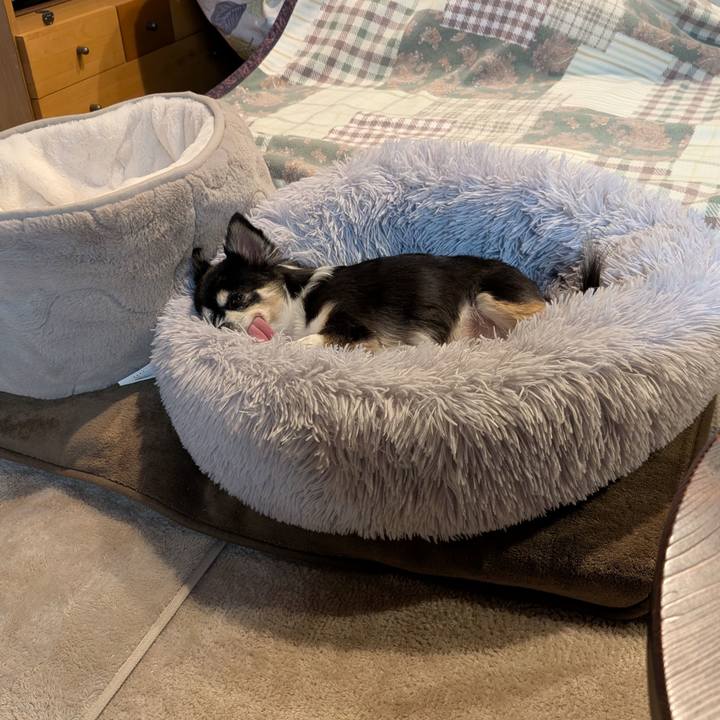 B79a91b5 0bfb 4a1f aba4 2bd85daefae3 1764764409177