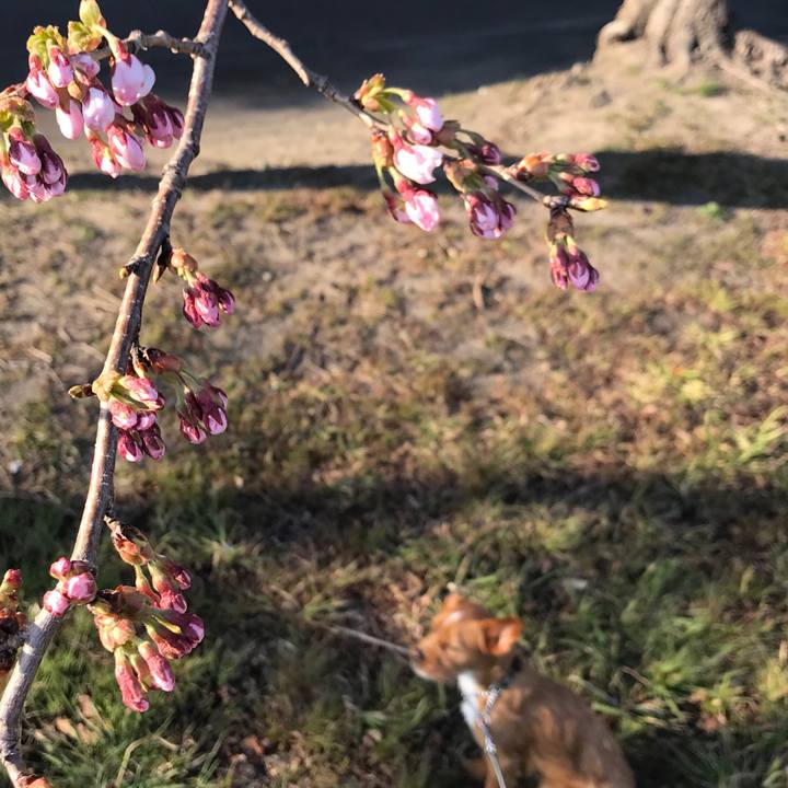 B79a929f 41c6 4285 bc48 81f1163eb5a6 1554538597696