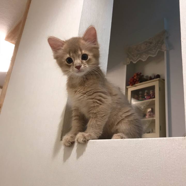 B79aaaf2 cb86 4f42 a79c dfd151c1107e 1539415589633