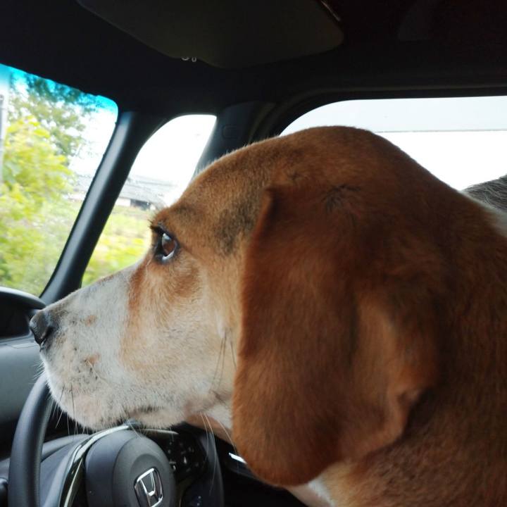 B79abd02 d622 4ced a63b 78ad2b097330 1592029430997