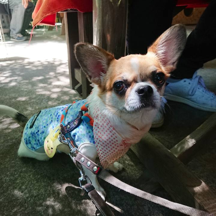 B79adc41 87cd 4f3a 918f e9fef53fce91 1597480680638