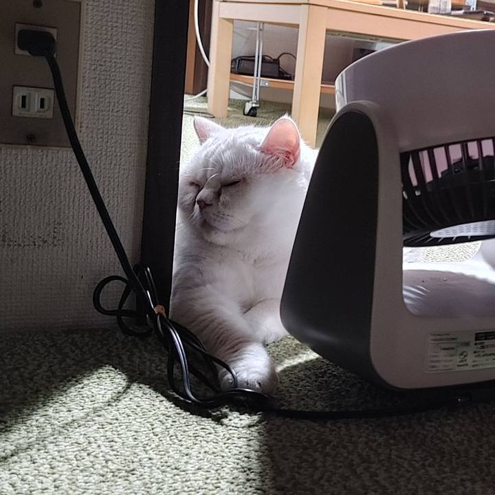 B79ae67f 3db5 47aa a8f9 7c7f7e7c7d45 1655379715795