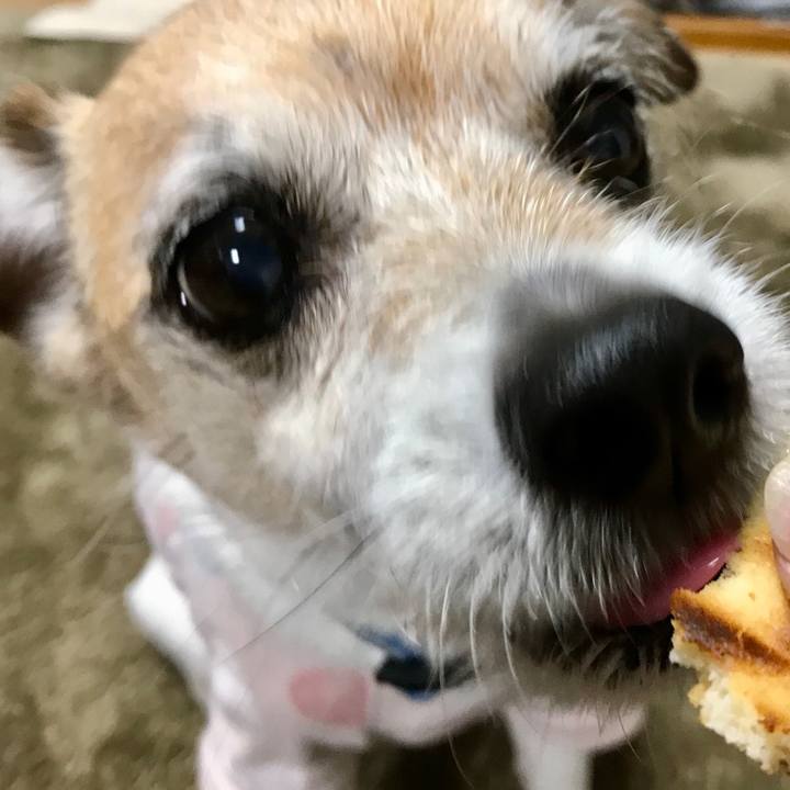 B79b1ac9 b80c 4a8b ab6e 4076daa6cc05 1653472208097