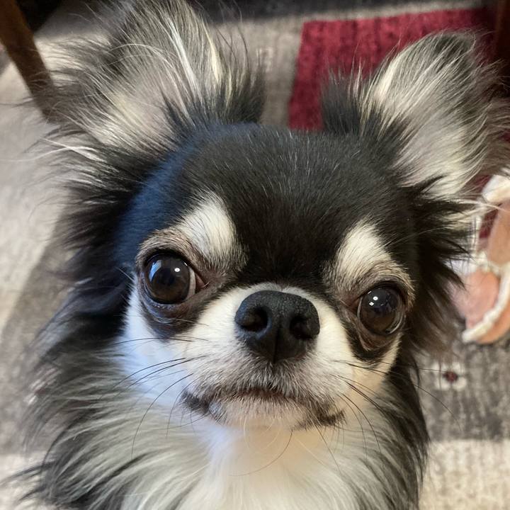 B79b35a2 e92d 461d a46c ffad0630698f 1618007047261