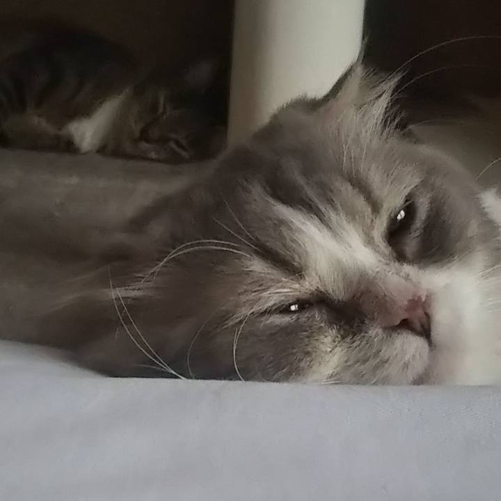 B79b3b27 9c70 49fd 8ebc 1ad35a75e37c 1626083413856