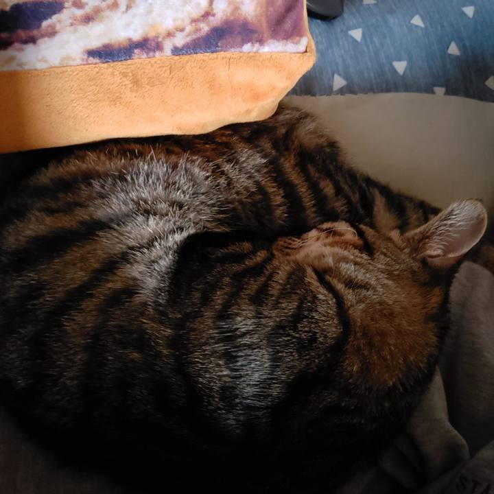 B79b6bf0 11da 41ae b548 ad720ae2ab9c 1541974386281