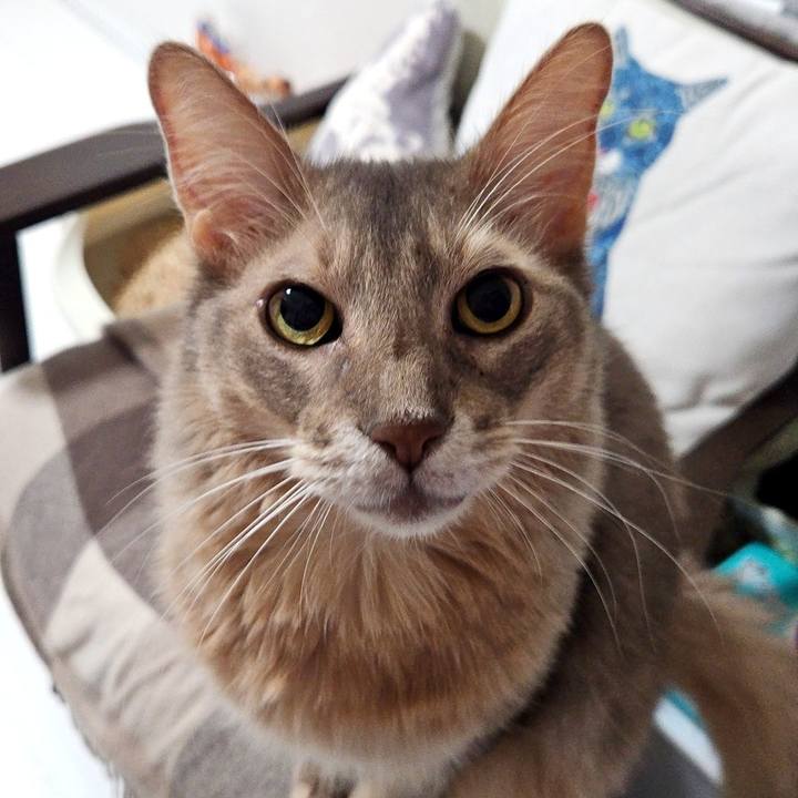 B79bc152 5cb1 4030 874a cb5c02caa4db 1730000610605