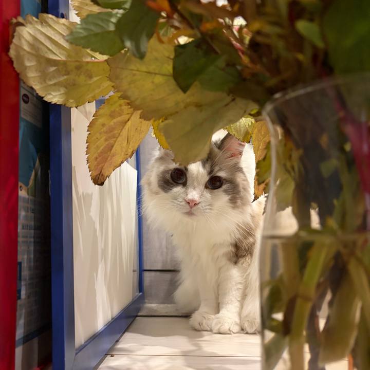 B79bc246 1bef 4ac0 a62f e0fb60098d88 1761609796164