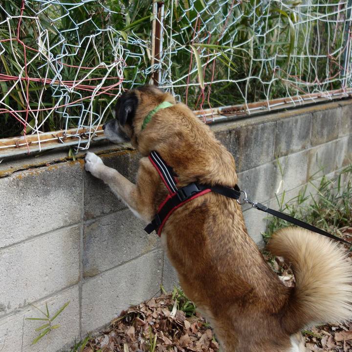 B79bc8b6 4c42 4769 bae9 bfdd480f8a2d 1552181298099