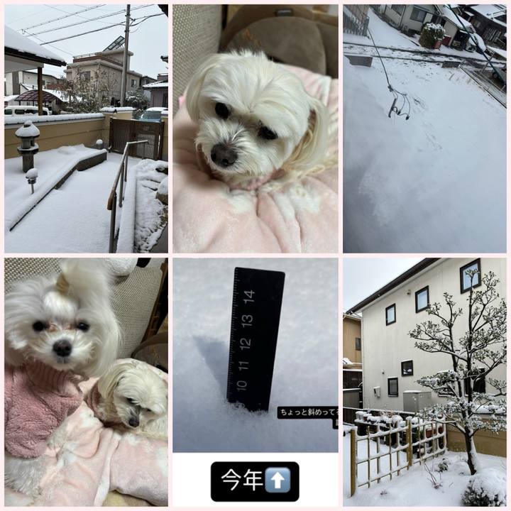 B79c04d6 a6da 4519 b3cc 7b238cc056f4 1738991567260