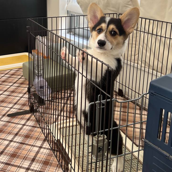 B79c181d e7ad 4c5f b314 de9f5f9859a2 1771640993346