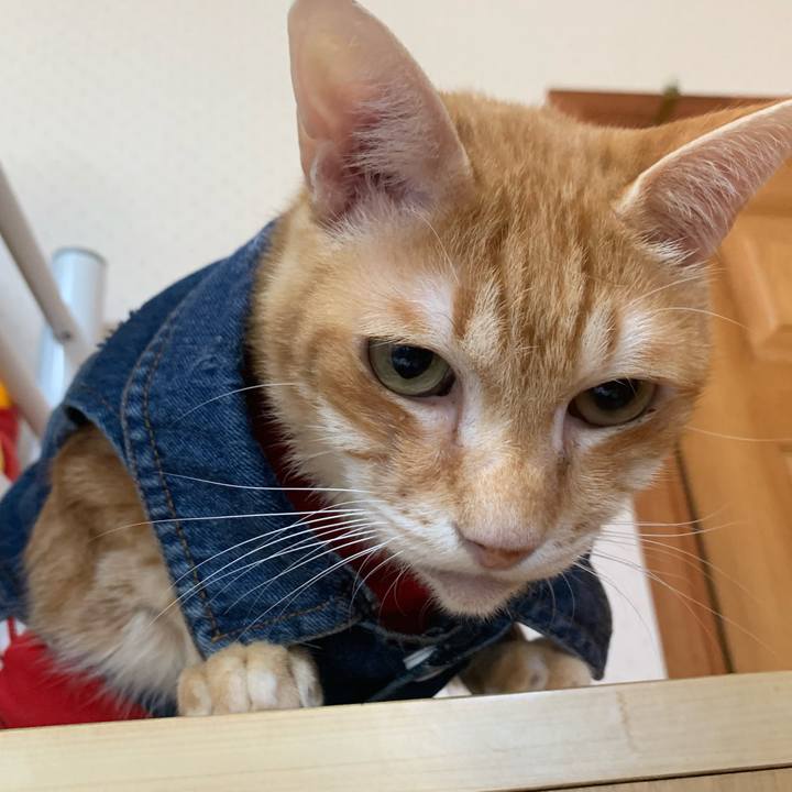 B79c2692 5ee5 4605 bbf2 d04111bade39 1624793610302