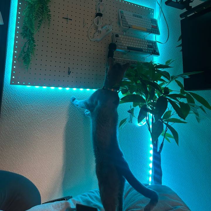 B79c9794 5b5c 438c b178 0584566535ae 1735884701078