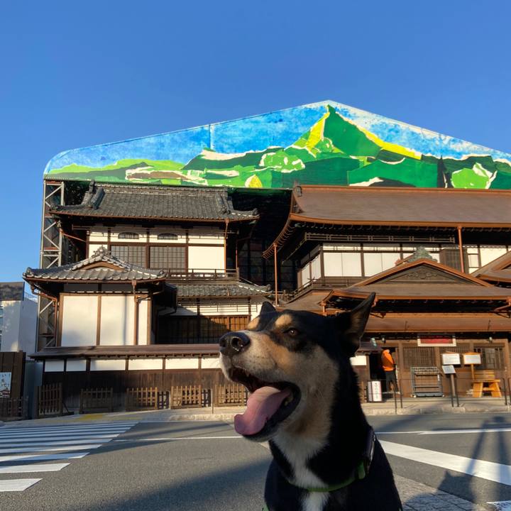 B79ca9e3 9b01 44a8 898b a286456f64f1 1637406963000