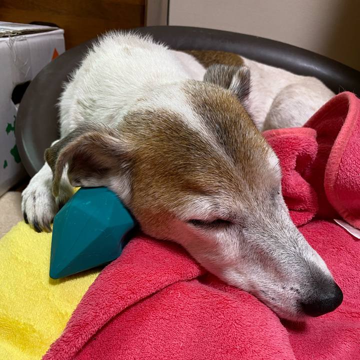 B79cd7e1 42fa 4fcc ad20 83495ad8b5c0 1605619375812