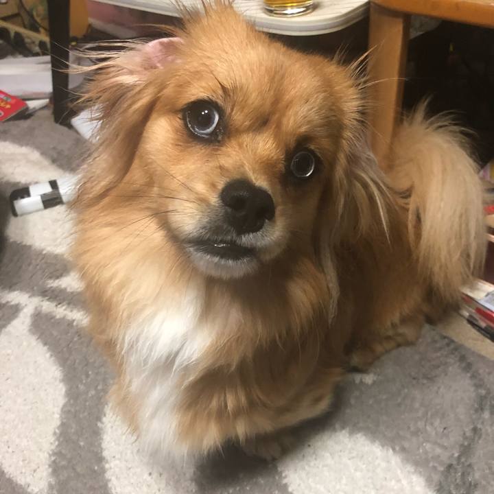 B79d058b eb1d 4615 833b 0f1ece1f58fd 1521493561005