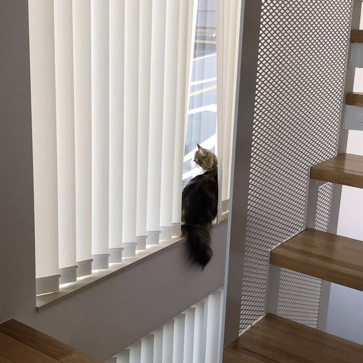 B79d153f 1caa 46b7 9198 feb75013d996 1542413451615