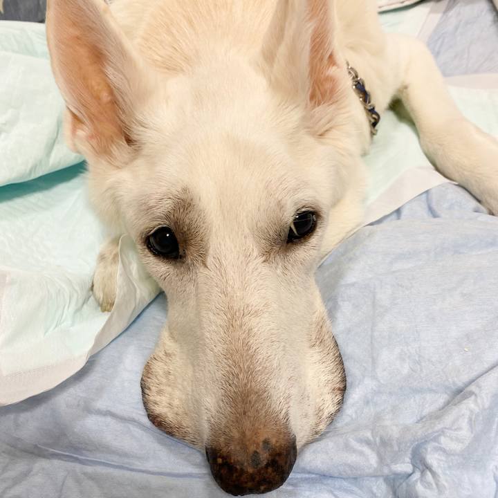 B79d1f30 e7ba 4200 bfbc 8e2f552bd67b 1605012468841