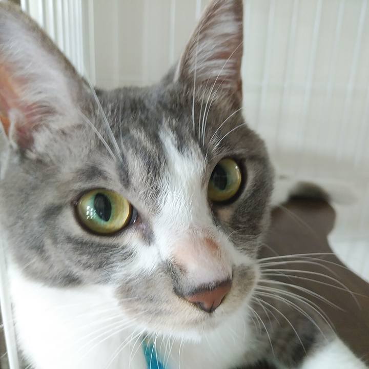 B79d5629 bf10 4dc0 8d81 b6c3f6e2fc3c 1592438275296