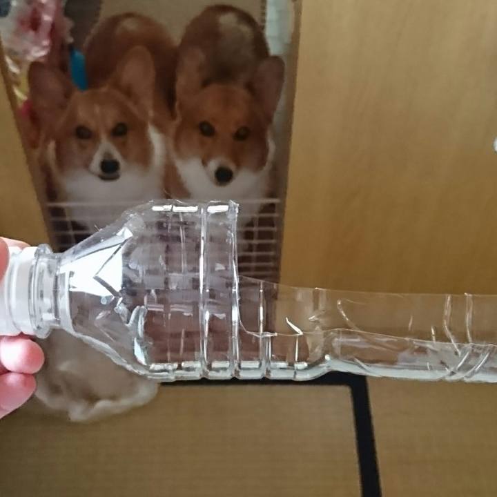 B79d5bf4 2742 488d 8a9c 957835752789 1531963597915