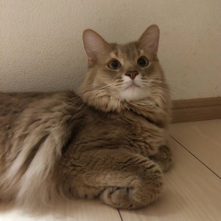 B79d67d8 eba2 4abc 9fc0 1f1f759386bc 1622993564091