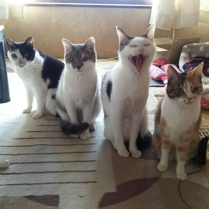 B79d6f82 2436 4e2e bacb 9b6faab48b31 1516779281926