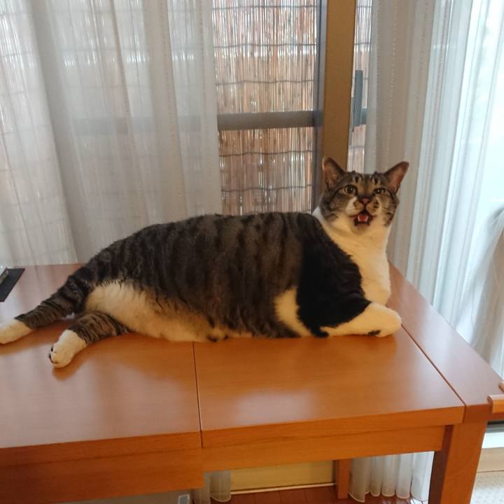 B79d9d70 e74a 46bb 98b1 7f6847d05f47 1567035359681