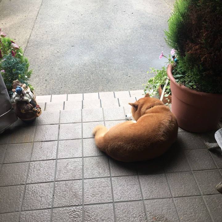 B79de2c9 18b3 43e3 be4b cdbf5daf7e15 1538184859057