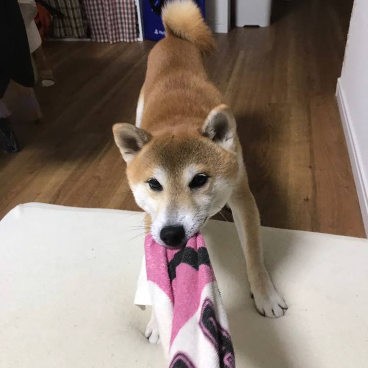 B79e26c4 9cfb 4607 9c62 726deee09c2e 1571402575175