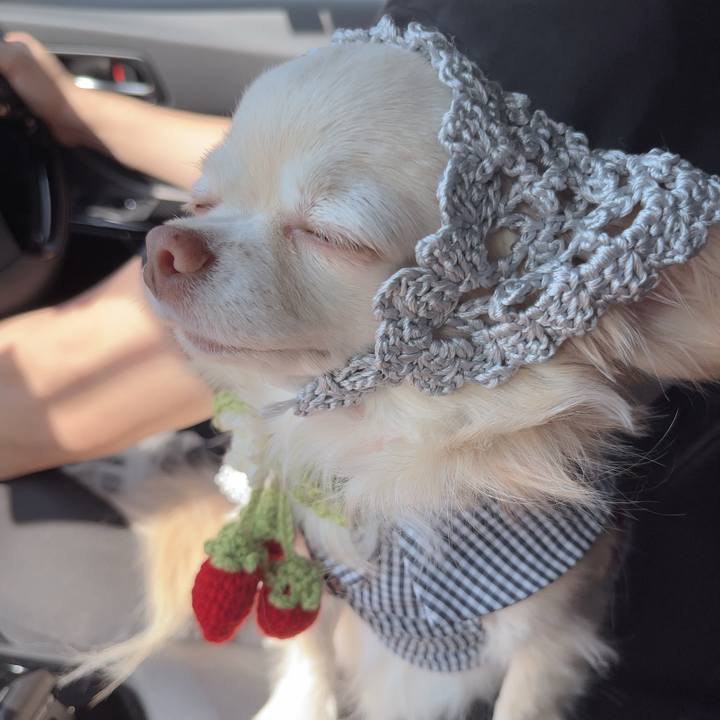 B79e45c7 c8a4 4add ae46 b98b0f1530b6 1755158760696