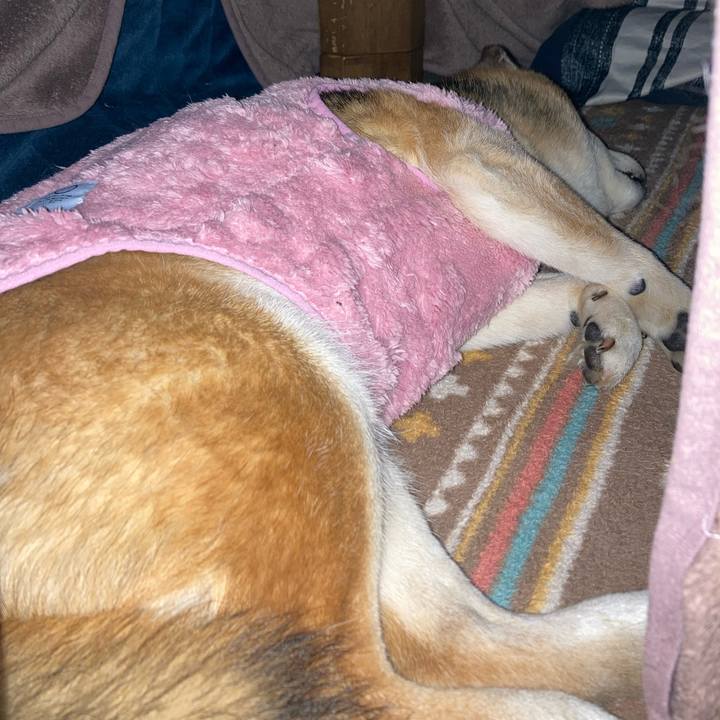 B79e715d 280d 4479 92b5 f677c4d1a24c 1766708554245