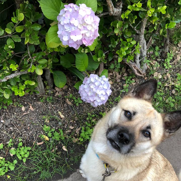 B79ee3d8 44d0 4151 beb1 d7186979f036 1528979698918