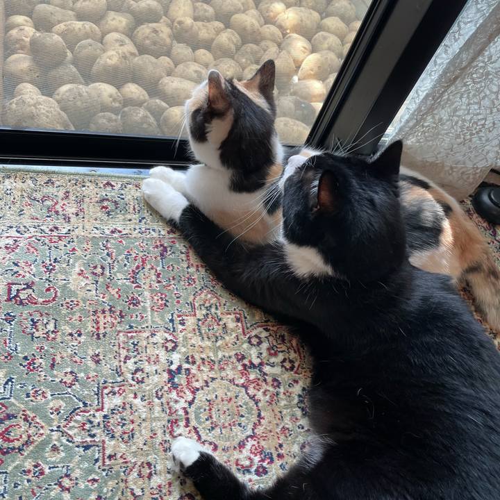 B79ef9df 3633 47c6 9cb5 5dd90bd33f24 1719369074787