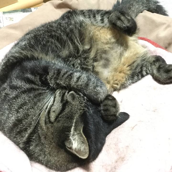 B79f0182 1416 4211 8554 c6680d1e0c65 1570535644998