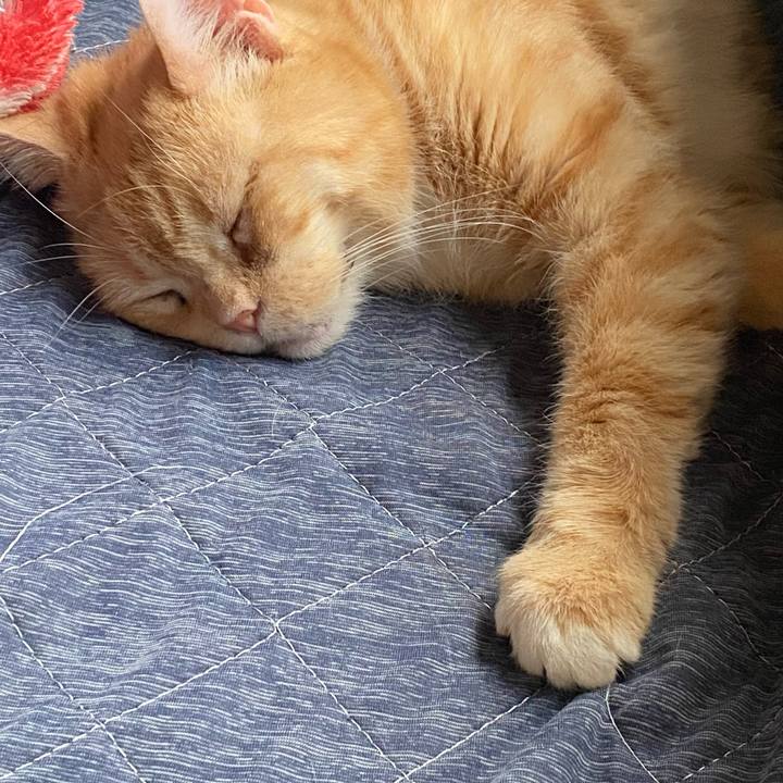 B79f0981 6f3e 4446 b083 69bbd5ecff67 1636237344554