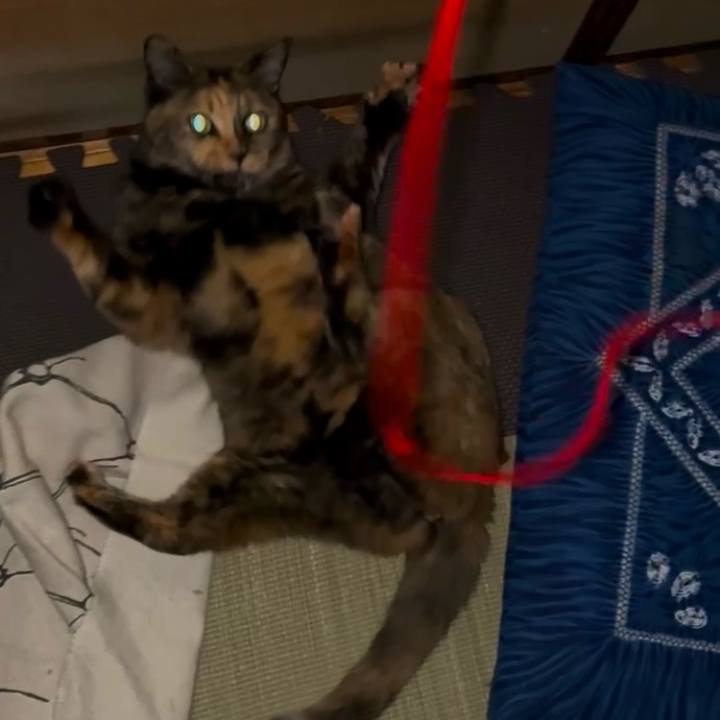 B79f6181 1ea3 4ddb a9b7 fdaef5b3fd7b 1751924347040