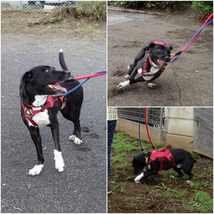 B79f6270 5eab 4f5c 8e7f 3ea90bf17989 1594376285436