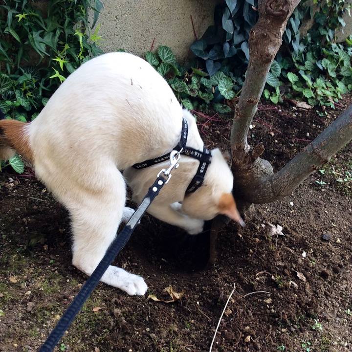 B79f697e 398c 4a2a a7ae ff654102eb34 1556424509566