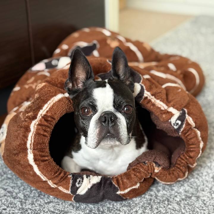 B79fc5dd 88f0 4fd3 a4e0 22ba8fd45d93 1763430762839