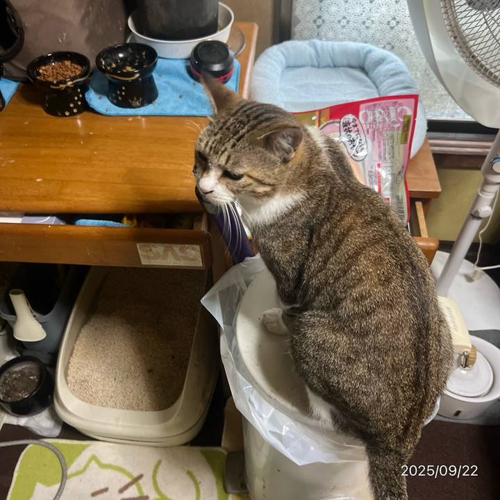 B79fff70 c591 4cc5 bea8 9f855fcfe5ec 1758492615943