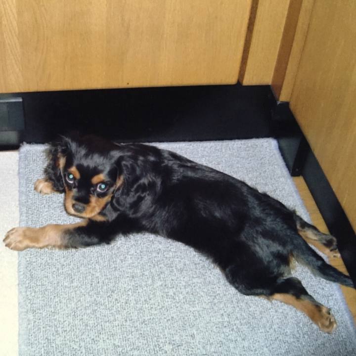 B7a0610b 192d 4647 8ad4 684ae66c7a8a 1526979577609