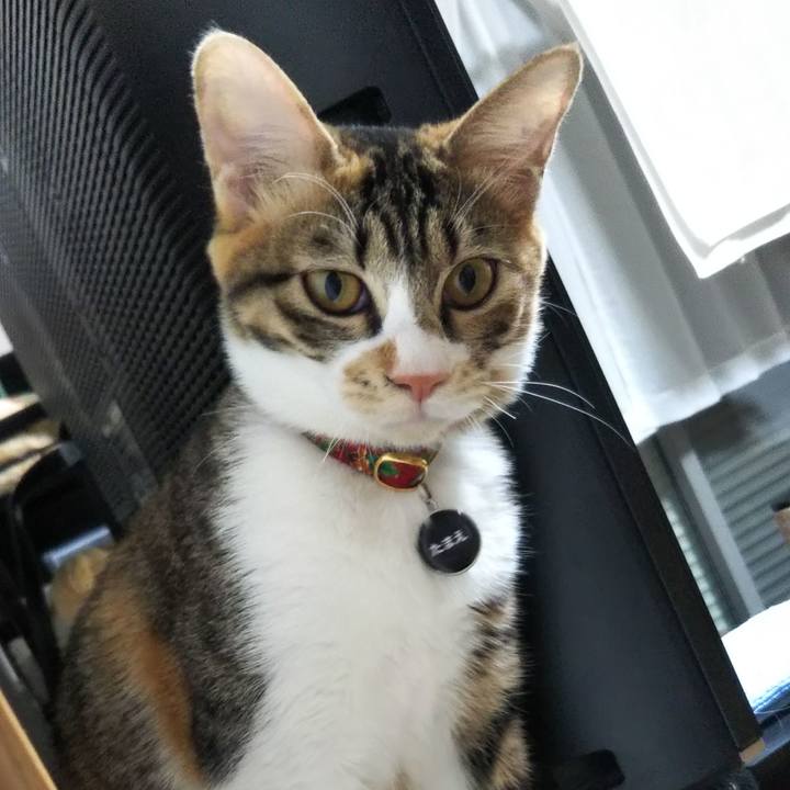 B7a0803b 3948 4775 8d34 2f195a1f3e2d 1639256300184