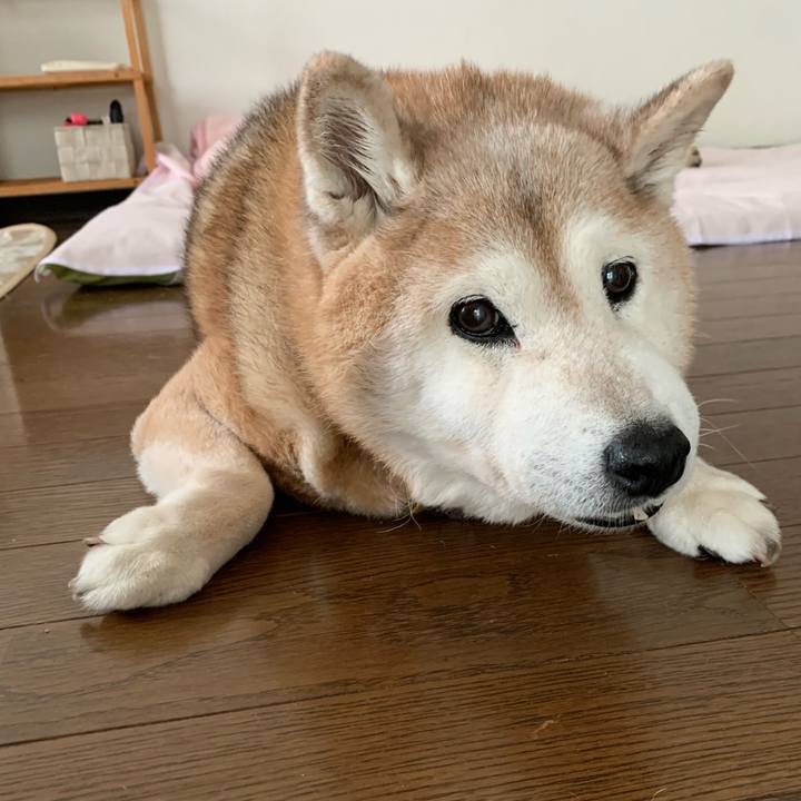 B7a0c494 b435 4e7e 921e f4db9529a223 1663595635467