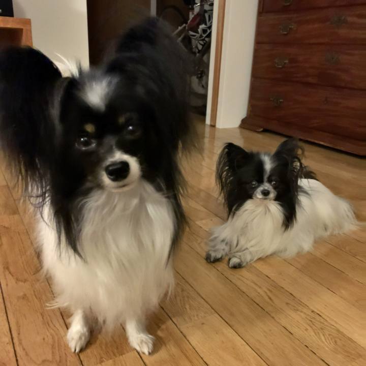 B7a0c77c eb60 445e bdf6 ae41657380b5 1578228638527